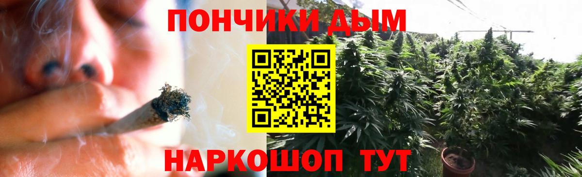 Канабис сатива Ревда